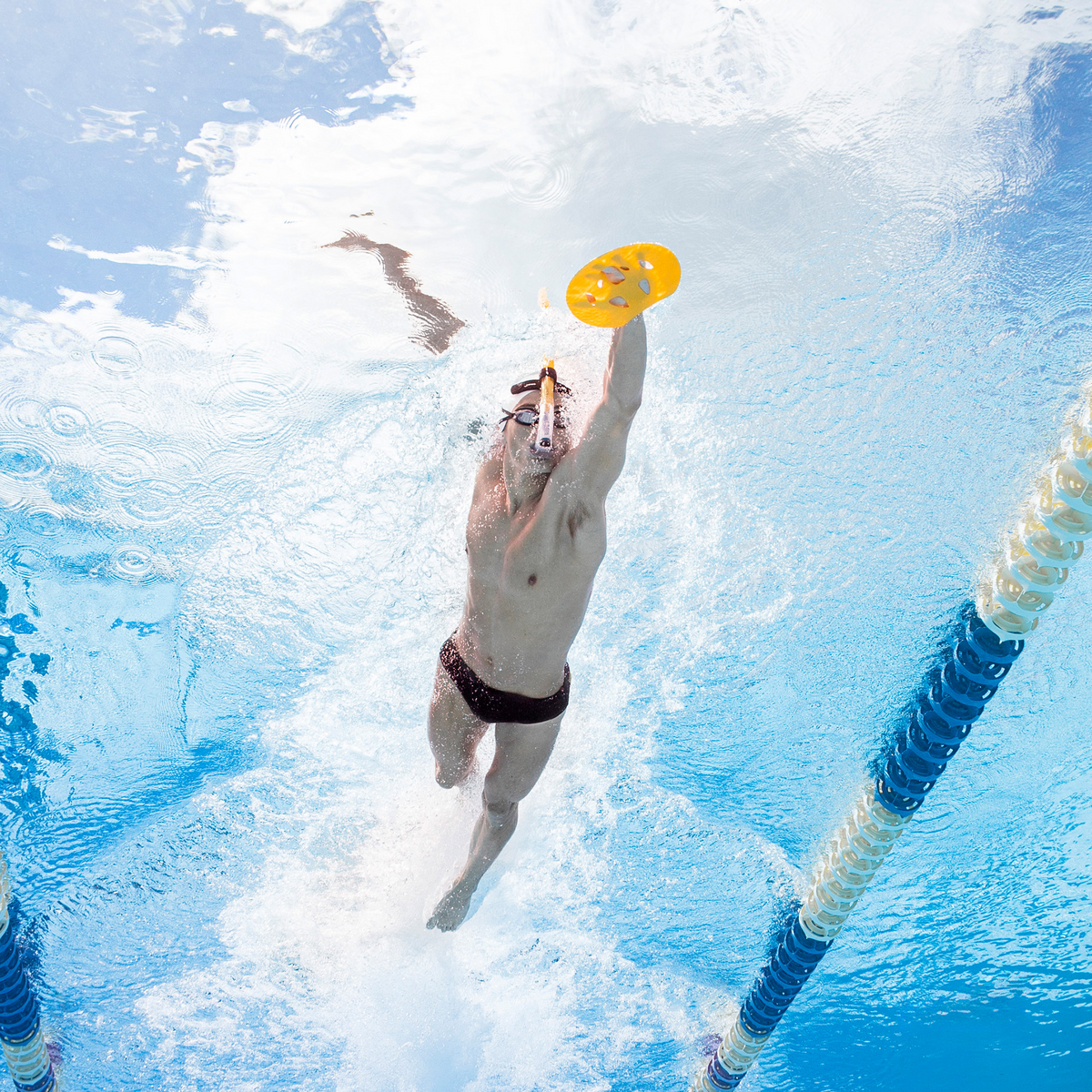 مجاديف مانتا