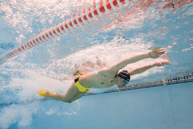 زعانف الحافة