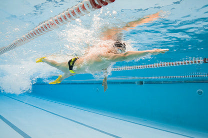 زعانف الحافة