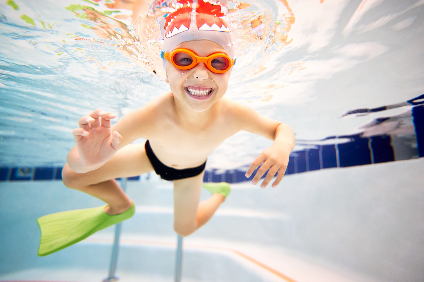 رؤوس الحيوانات