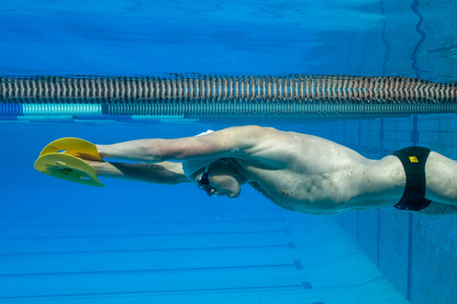 مجاديف مانتا